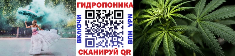 Продажа наркотиков Ясный Псилоцибиновые грибы мега сайт Гашиш Марихуана A-PVP COCAIN