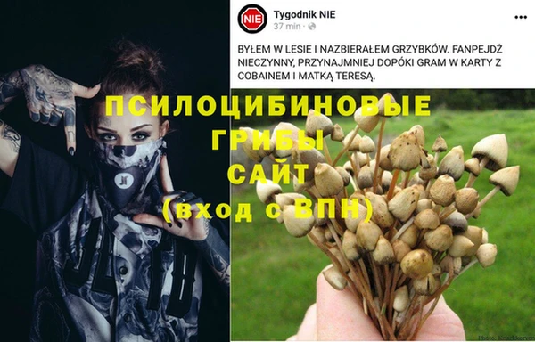 спиды Верхний Тагил