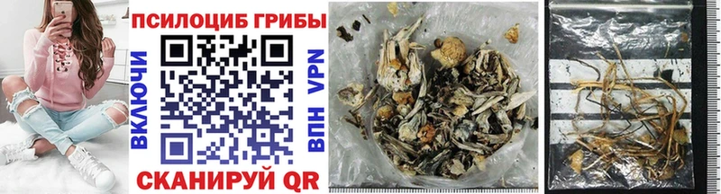 блэк спрут вход  Ясный  Псилоцибиновые грибы Cubensis 